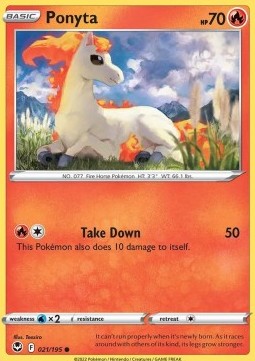 Ponyta