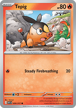 Tepig
