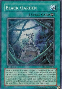 Black Garden - Crossroads of Chaos (Super Rare) [CSOC-048]