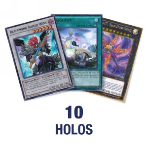 10 random holos