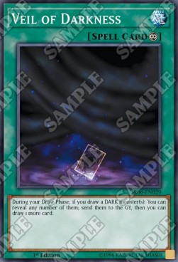 Veil of Darkness - Structure Deck: Lair of Darkness (Common) [SR06-029]