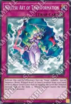 Ninjitsu Art of Transformation - Shadows in Valhalla (Super Rare) [SHVA-028]