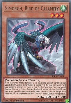 Simorgh, Bird of Calamity - Rising Rampage (Common) [RIRA-019]