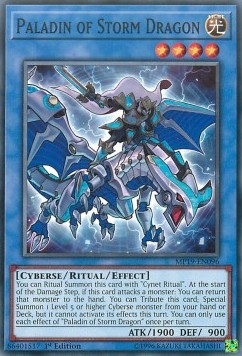 Paladin of Storm Dragon - 2019 Gold Sarcophagus Tin Mega Pack (Common) [MP19-096]