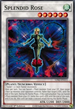 Splendid Rose - Legendary Duelists: Season 2 (Common) [LDS2-111]