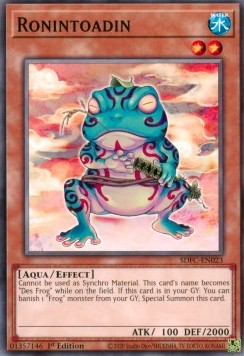Ronintoadin - Structure Deck: Freezing Chains (Common) [SDFC-023]