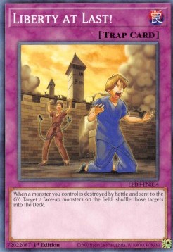 Liberty at Last! - Legendary Duelists: Synchro Storm (Common) [LED8-034]
