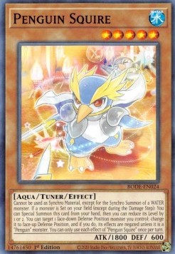 Penguin Squire - Burst of Destiny (Common) [BODE-024]