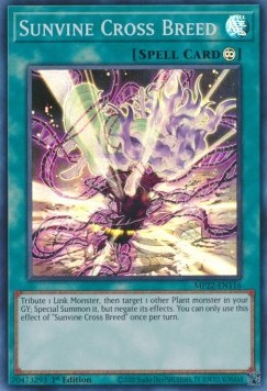 Sunvine Cross Breed - 2022 Tin of the Pharaoh's Gods (Super Rare) [MP22-116]