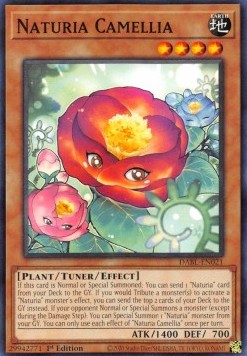 Naturia Camellia - Darkwing Blast (Common) [DABL-021]