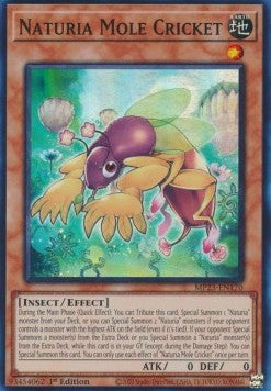 Naturia Mole Cricket - 25th Anniversary Tin: Dueling Heroes Mega Pack (Super Rare) [MP23-170]