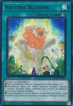 Naturia Blessing - 25th Anniversary Tin: Dueling Heroes Mega Pack (Ultra Rare) [MP23-204]