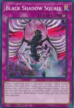 Black Shadow Squall - 25th Anniversary Tin: Dueling Heroes Mega Pack (Common) [MP23-208]