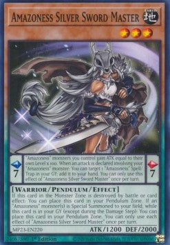 Amazoness Silver Sword Master - 25th Anniversary Tin: Dueling Heroes Mega Pack (Common) [MP23-220]