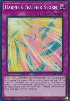 Harpie's Feather Storm (V.1 - Super Rare) - 25th Anniversary Rarity Collection (Super Rare) [RA01-073]