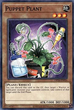 Puppet Plant - OTS Tournament Pack 24 (Common) [OP24-016]