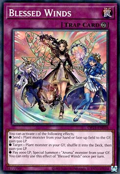 Blessed Winds - OTS Tournament Pack 25 (Common) [OP25-026]