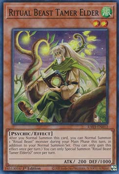Ritual Beast Tamer Elder (V.1 - Super Rare) - Quarter Century Bonanza (Super Rare) [RA03-012]
