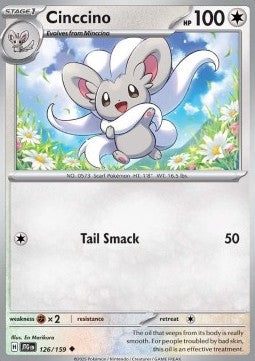 Cinccino