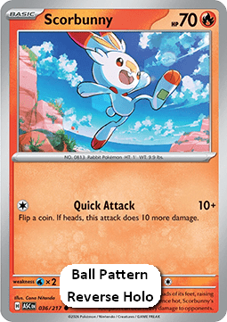 Scorbunny