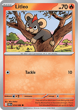Litleo